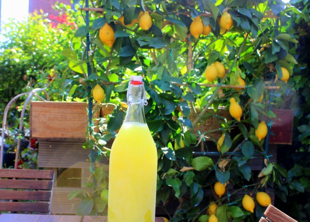 Zelfgemaakte limoncello